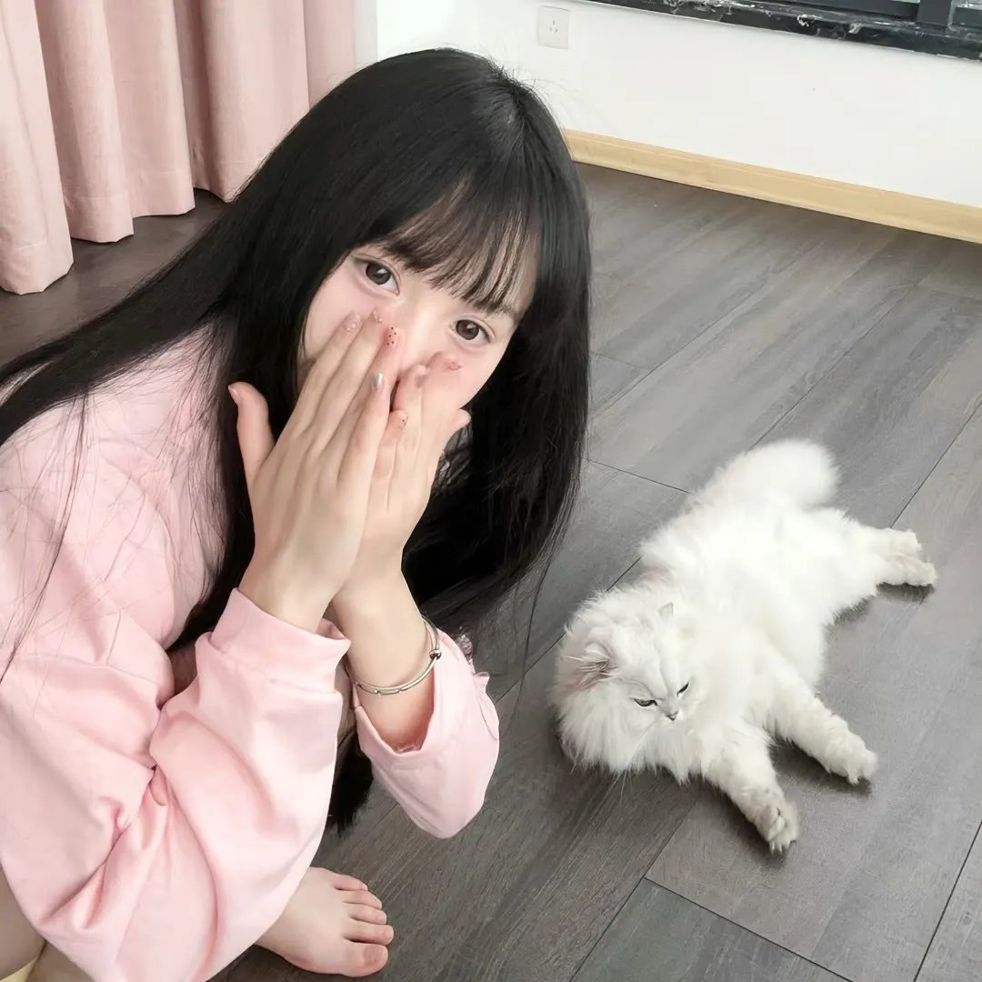 断箭 在线观看
